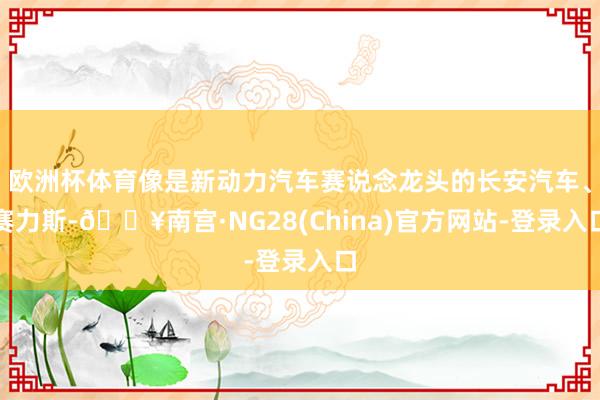 欧洲杯体育像是新动力汽车赛说念龙头的长安汽车、赛力斯-🔥南宫·NG28(China)官方网站-登录入口