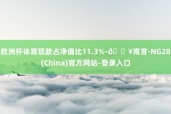 欧洲杯体育现款占净值比11.3%-🔥南宫·NG28(China)官方网站-登录入口
