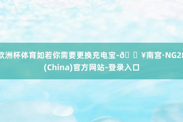欧洲杯体育如若你需要更换充电宝-🔥南宫·NG28(China)官方网站-登录入口