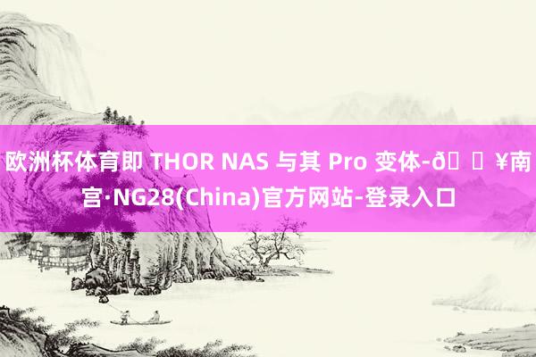 欧洲杯体育即 THOR NAS 与其 Pro 变体-🔥南宫·NG28(China)官方网站-登录入口