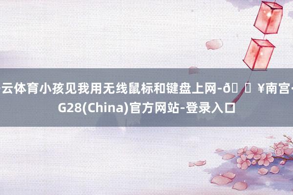 开云体育小孩见我用无线鼠标和键盘上网-🔥南宫·NG28(China)官方网站-登录入口