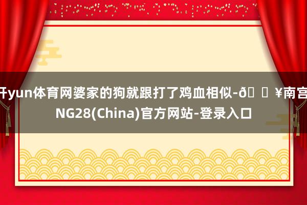开yun体育网婆家的狗就跟打了鸡血相似-🔥南宫·NG28(China)官方网站-登录入口